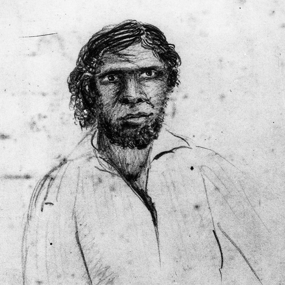 Pencil sketch portrait of Dundalli by Silvester Diggles, drawn from life on 5 December 1854. A young Aboriginal man with curling hair and beard, looking directly at the viewer, wearing an open smock shirt.