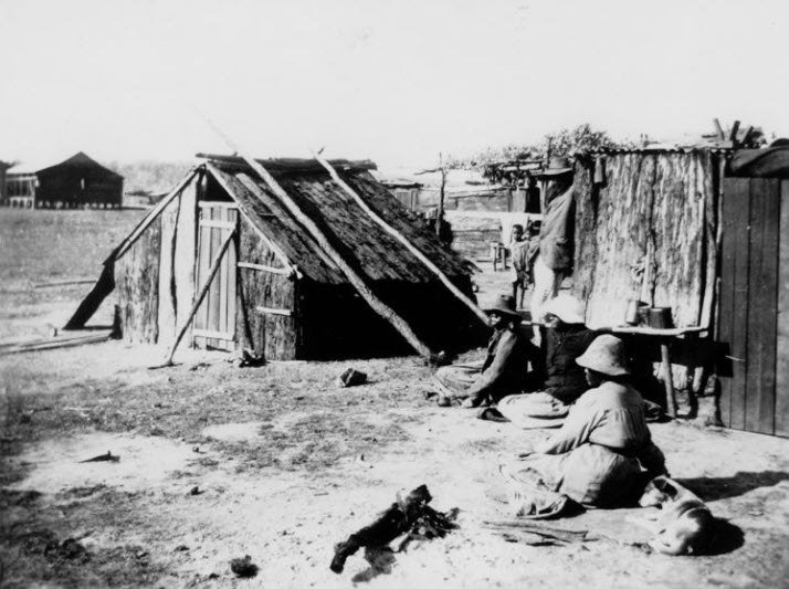 Shelters at Barambah Aboriginal Settlement, around 1920
