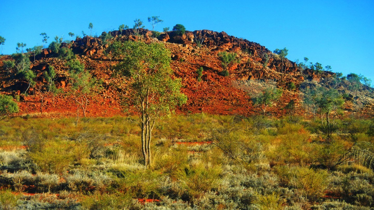 A stony rise near Duchess