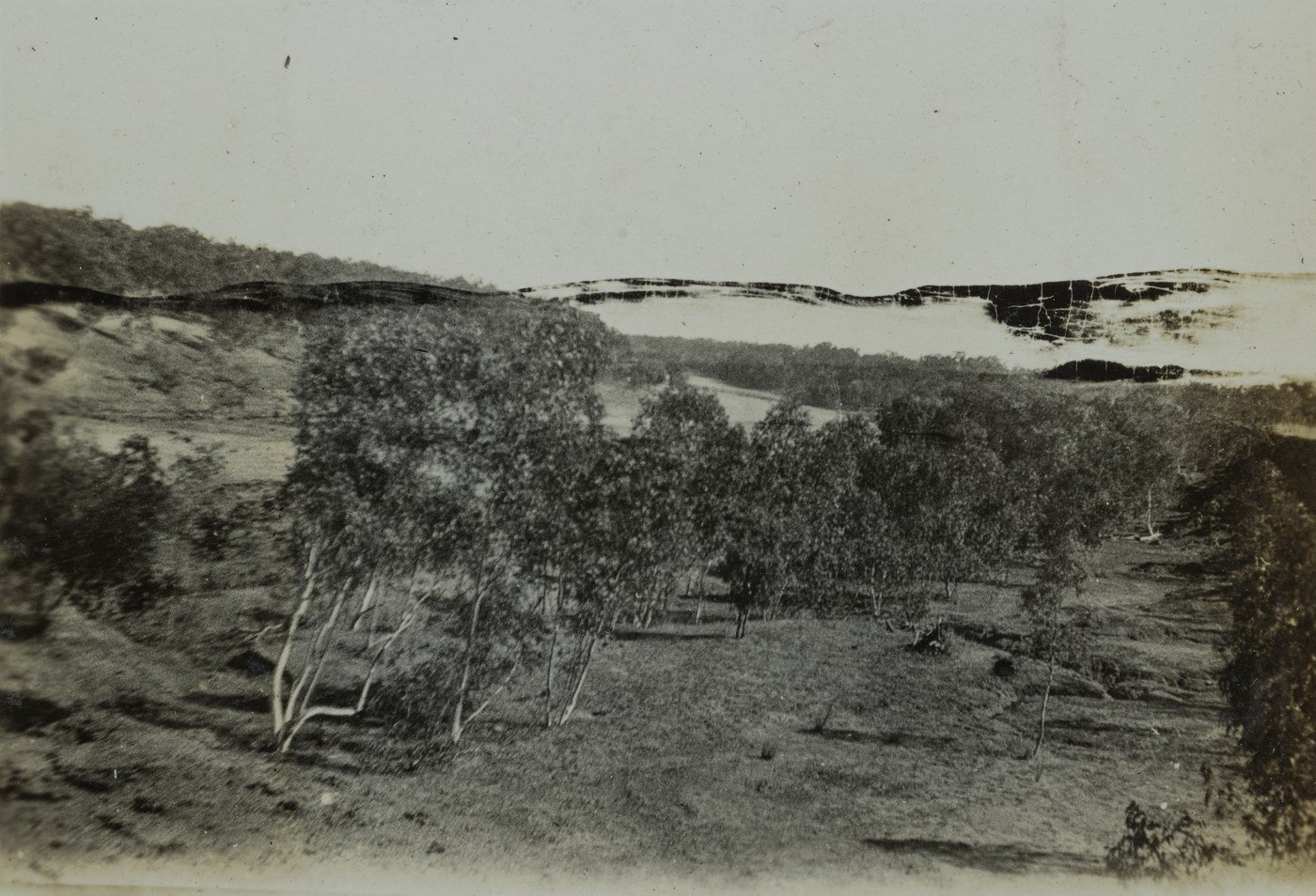 The Leichhardt River at Lorraine Station, between 1910 and 1935